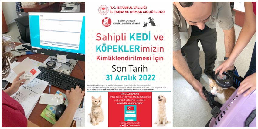 Son tarih açıklandı