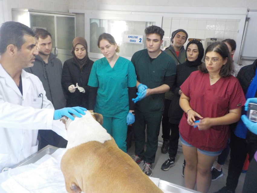 Küçük Hayvan Rehabilitasyon Merkezi ziyareti