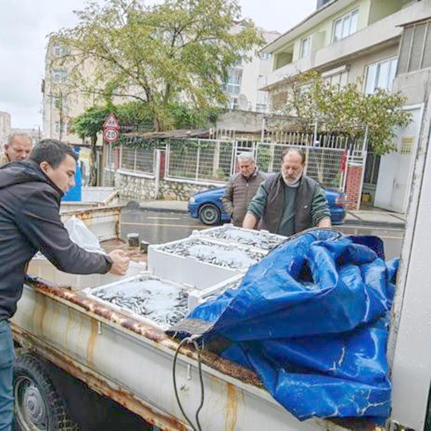 Balık boy ve yasaklı tür denetimi