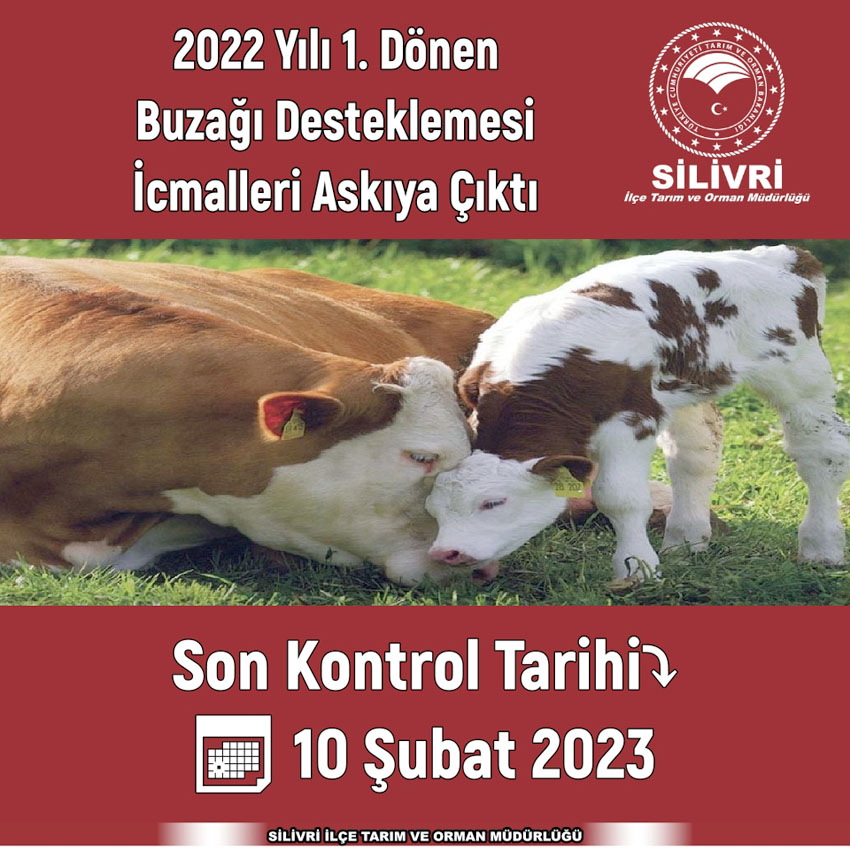 2022 Yılı 1. Dönem Buzağı Desteklemeleri askıya çıktı