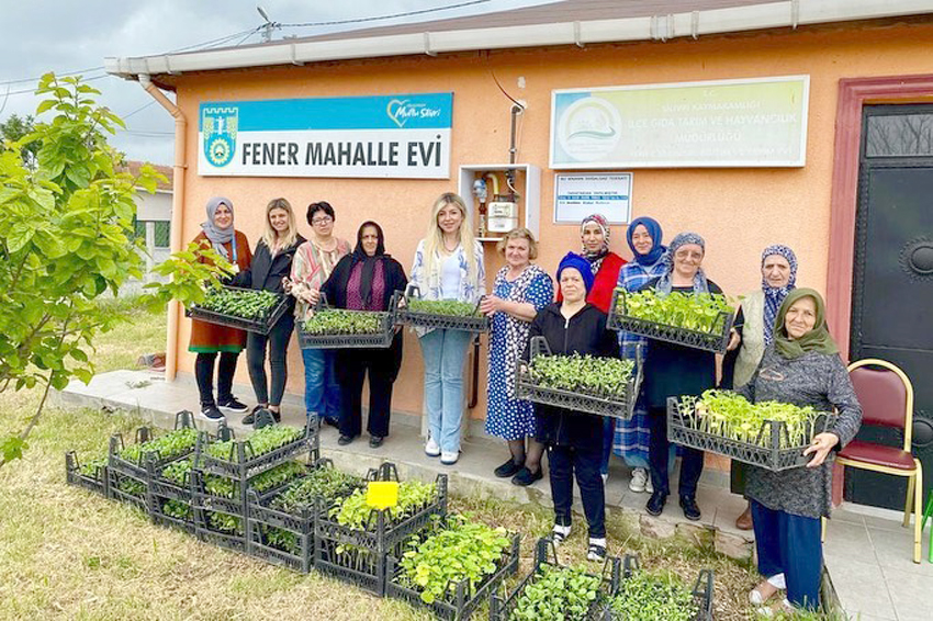 Mahalle Evi kursiyerlerine fide dağıtımı sürüyor