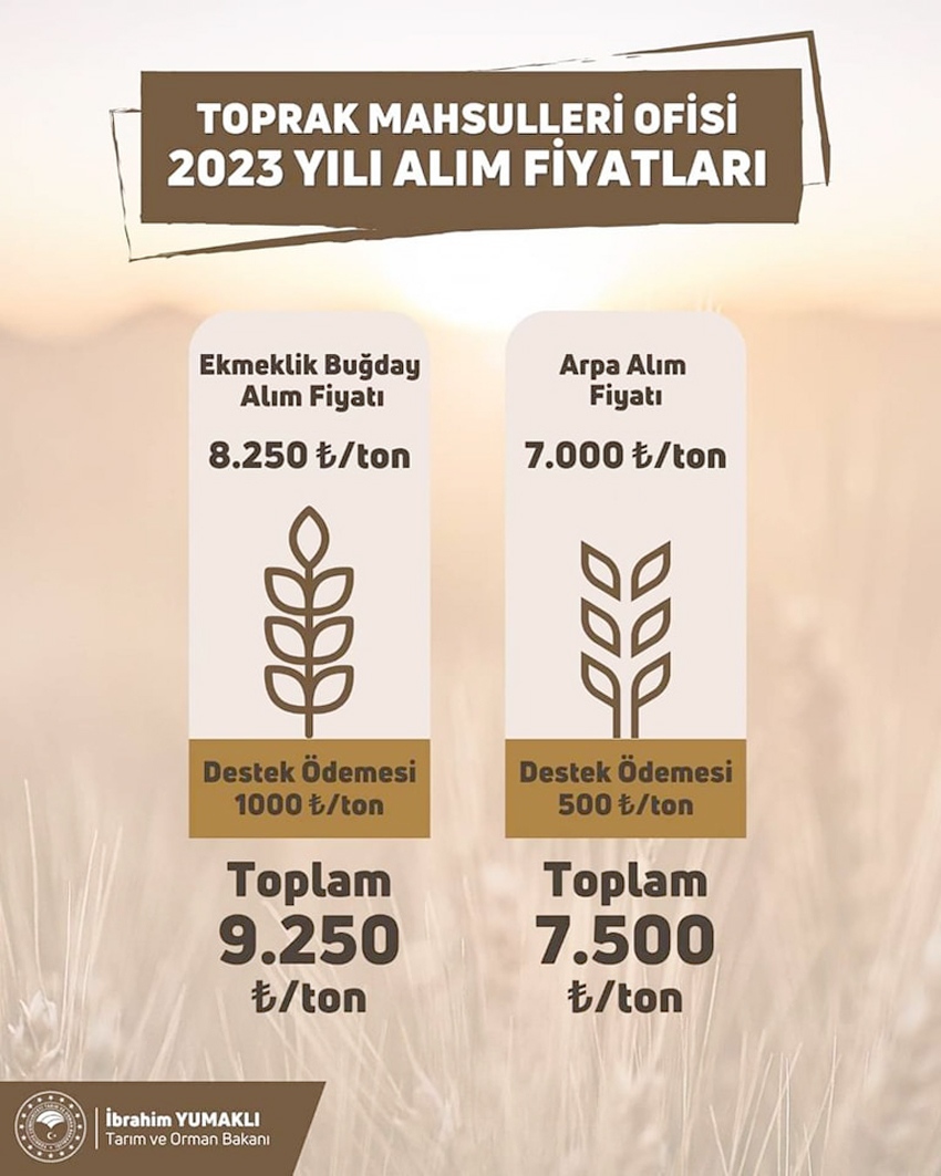 Toprak Mahsulleri Ofisi 2023 yılı alım fiyatları