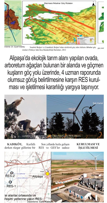 Rüzgâr güllerine bir tepki de Alipaşa’dan