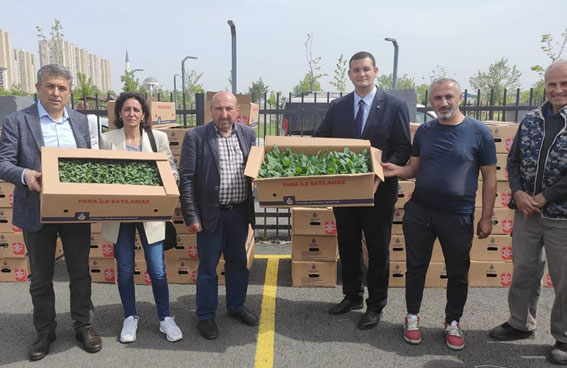 250 çiftçiye Yazlık Fide ve Malç Naylonu dağıtımı