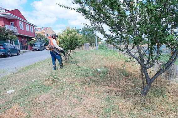 Yeşil alan çalışmaları aralıksız sürüyor