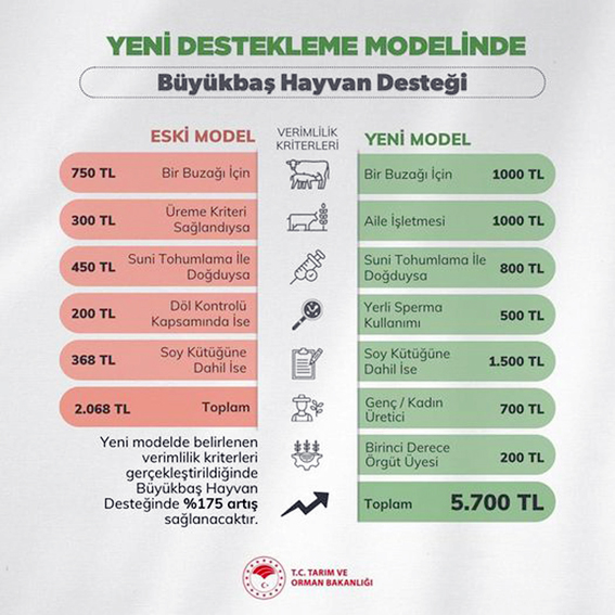 Büyükbaş Hayvan desteği