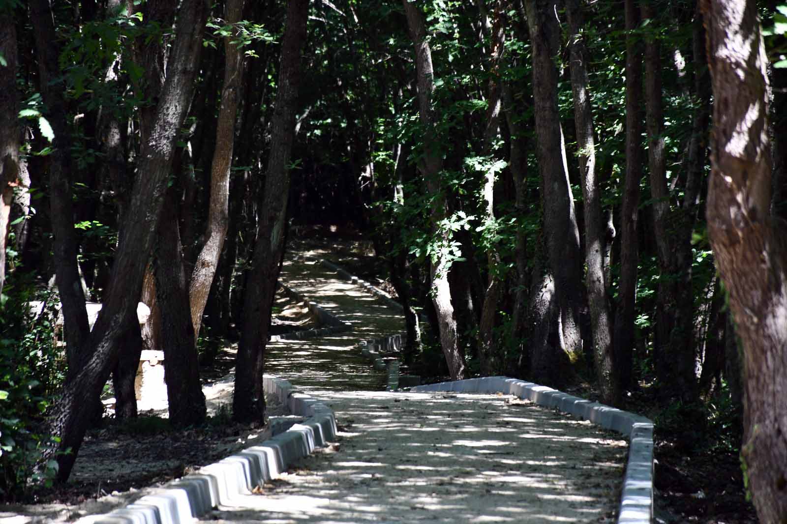 site için (10)